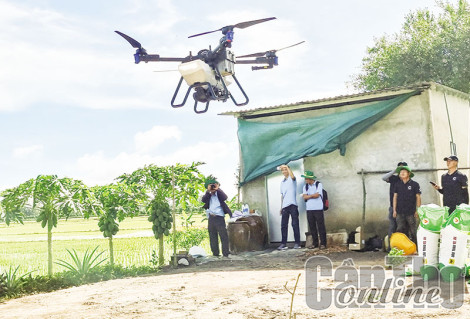 Hỗ trợ đào tạo nghề cho lao động nông nghiệp vùng ÐBSCL