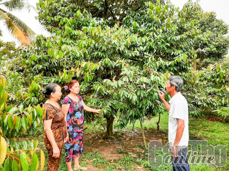 Làm việc có ích cho dân