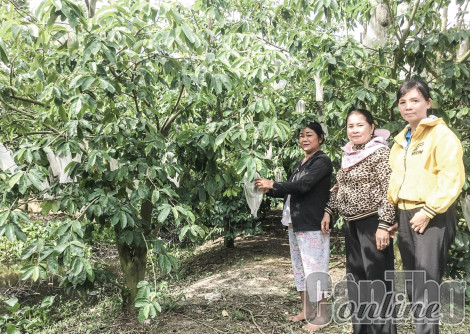 Tăng cường huy động, sử dụng vốn vay ưu đãi