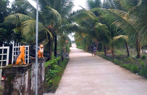 Nét đẹp Trường Xuân A