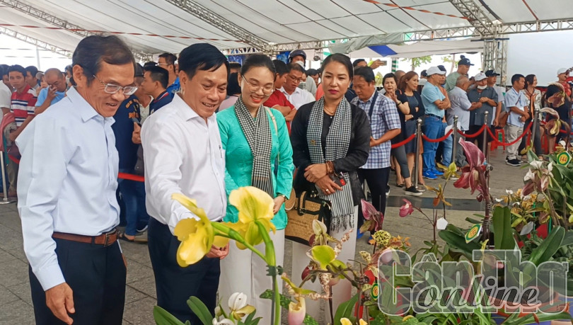 Lễ 2-9, về Cần Thơ dự hội hoa lan toàn quốc