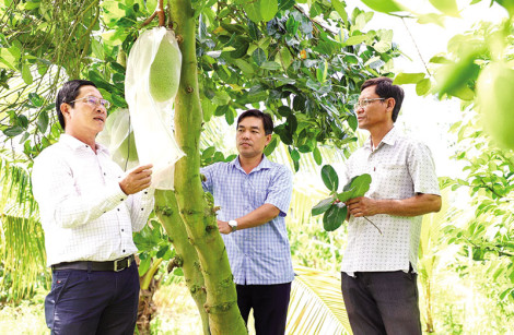 Quan tâm đào tạo nghề, tạo việc làm cho nông dân