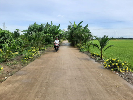 Chi bộ ấp Ðông Phước làm theo gương Bác