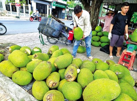 Mít Thái giảm giá mạnh, giá heo hơi giảm, đường cát tăng giá