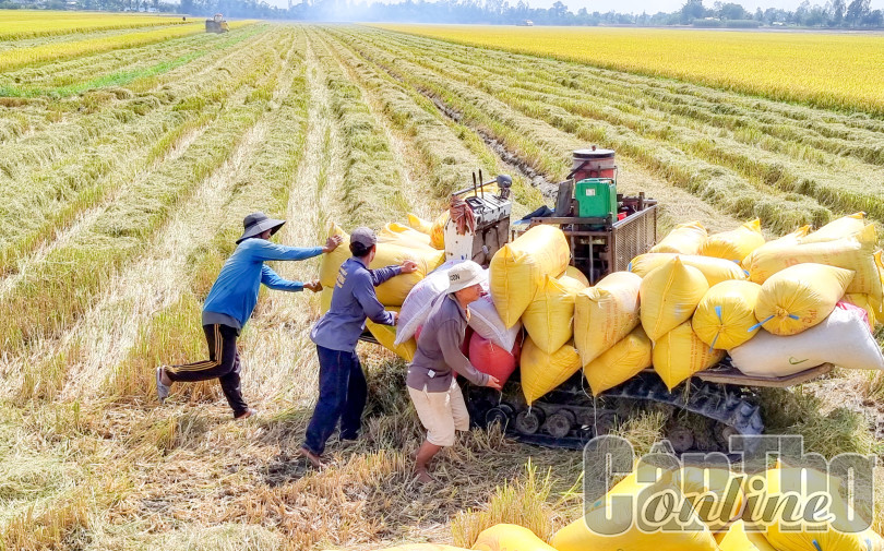 Nâng cao chất lượng, hiệu quả sản xuất nông nghiệp gắn với phát triển bền vững