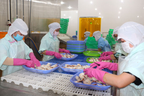 Khai thác tốt các FTA cho ngành Thủy sản