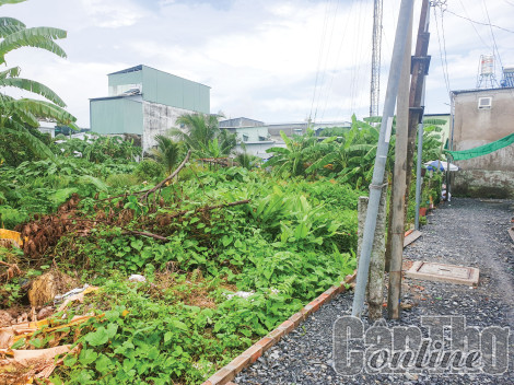Cần làm rõ phần diện tích đất trên thực tế