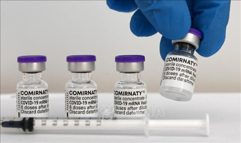 Vaccine cải tiến của Moderna và Pfizer có hiệu quả cao trong ngừa biến thể BA.2.86