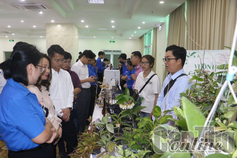 Kết nối các dự án khởi nghiệp