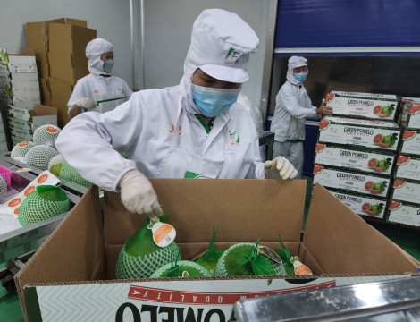 Tận dụng ưu đãi từ EVFTA thúc đẩy xuất khẩu nông sản sang châu Âu