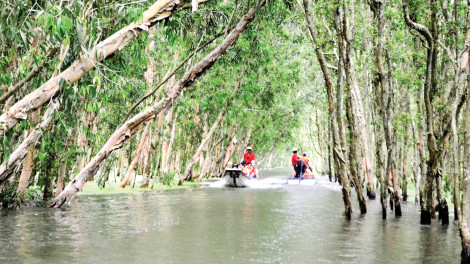 Khai thác “tài nguyên” con người trong phát triển du lịch ở An Giang