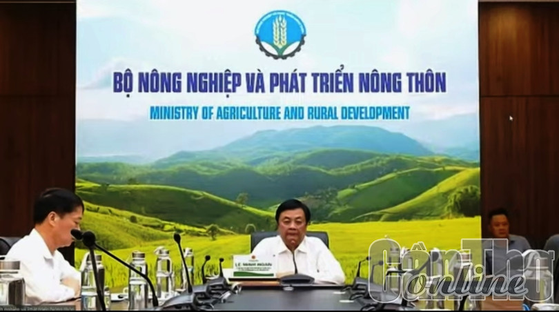 Thúc đẩy phát triển hiệu quả, bền vững ngành sầu riêng Việt Nam