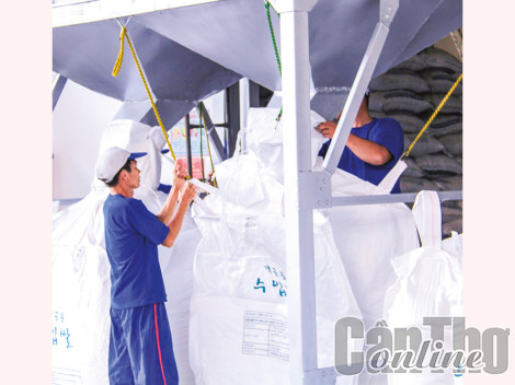Xuất khẩu hàng hóa tăng 7,7% trong tháng 8