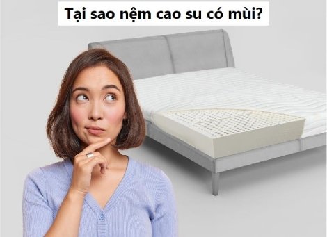 Tìm hiểu mùi nệm cao su có độc không?