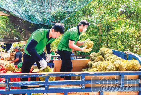 Mở cơ hội kết nối kinh doanh, đầu tư doanh nghiệp Trung Quốc và doanh nghiệp ĐBSCL
