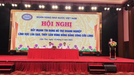 Đẩy mạnh tín dụng hỗ trợ doanh nghiệp lúa gạo, thủy sản vùng ĐBSCL