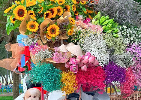 Giới trẻ Kiên Giang thích thú check-in xe hoa "Chở mùa thu Hà Nội"