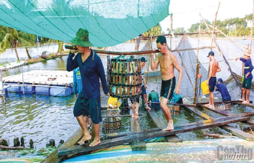 Tận dụng cơ hội xuất khẩu thủy sản dịp cuối năm