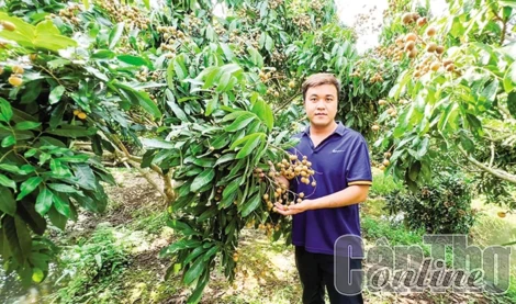 Thành công với mô hình trồng nhãn kết hợp làm du lịch