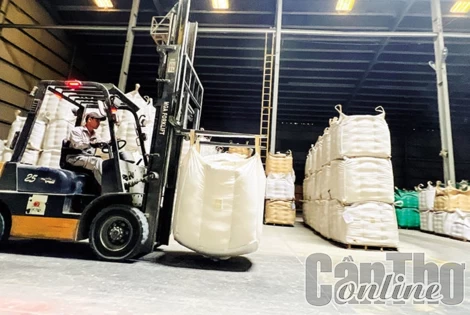 Ưu tiên vốn cho ngành hàng lúa gạo, thủy sản vùng ÐBSCL