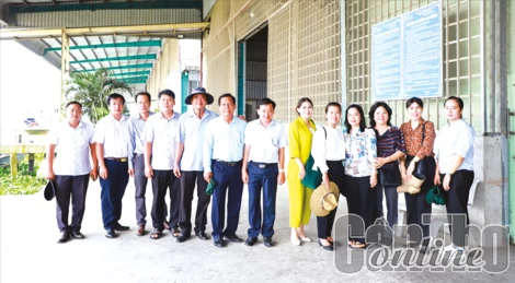 Thốt Nốt nỗ lực thực hiện tốt các chỉ tiêu phát triển kinh tế - xã hội
