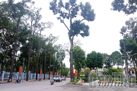 Quản lý hệ thống cây xanh công cộng đô thị trên địa bàn TP Cần Thơ bằng công nghệ thông tin