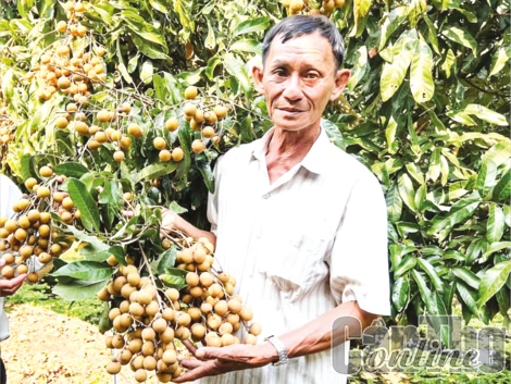 Hỗ trợ xây dựng nguồn nhân lực chất lượng cao cho hợp tác xã