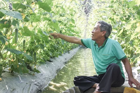Người cao tuổi với phong trào “Tuổi cao - Gương sáng”
