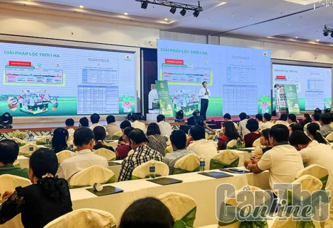 Tập đoàn Lộc Trời giới thiệu bộ giải pháp canh tác toàn diện trên cây lúa và họp mặt đại lý vụ đông xuân 2023-2024