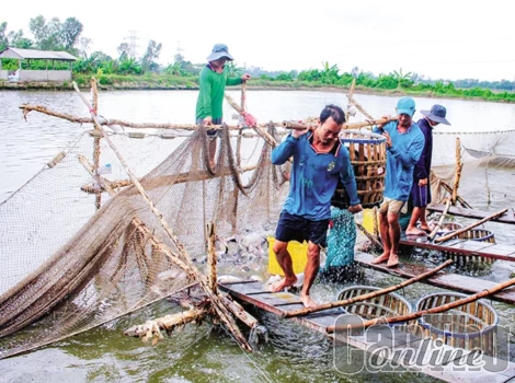 Chú trọng quan trắc môi trường