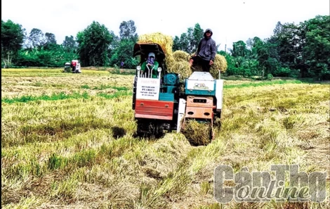 Giải pháp giảm khí nhà kính trong sản xuất nông nghiệp