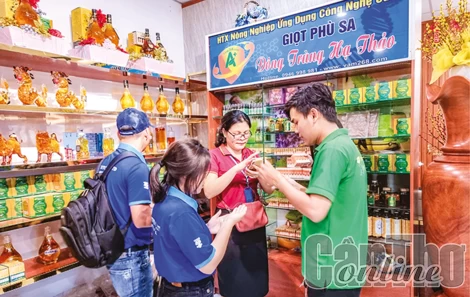 Phát triển du lịch gắn với tiêu thụ sản phẩm OCOP