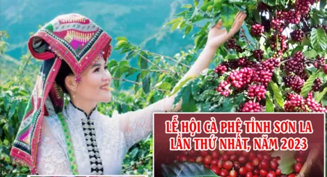 Chương trình Lễ hội Cà phê tỉnh Sơn La lần thứ nhất, năm 2023