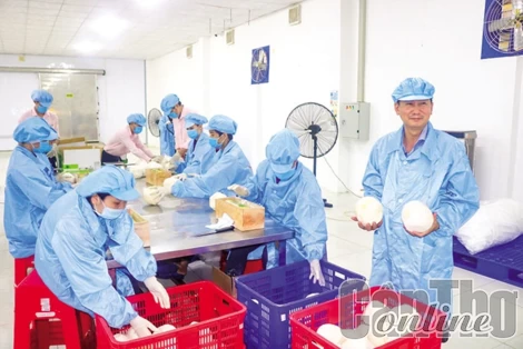 Nông lâm thủy sản duy trì xuất siêu ở mức cao