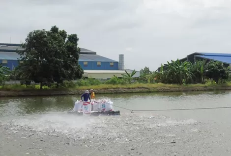 Thu hoạch gần 171.430 tấn thủy sản