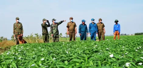 ĐBSCL tăng cường phòng, chống buôn bán người qua biên giới