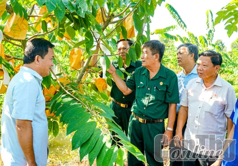 Hội Cựu chiến binh TP Cần Thơ tổ chức hội nghị đầu bờ ở xã Thới Hưng