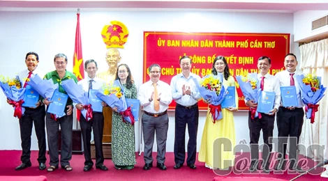 Nâng cao chất lượng công tác tổ chức xây dựng Đảng