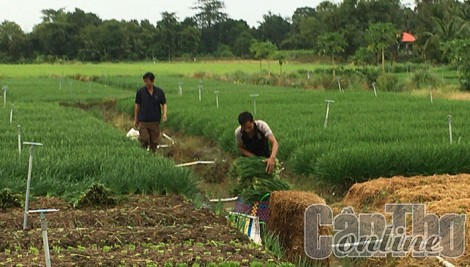 Cải thiện đời sống người nghèo