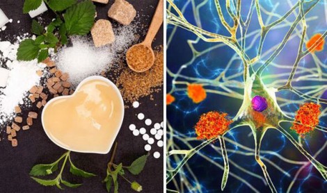 Phát hiện mới về nguy cơ và dấu hiệu cảnh báo sớm bệnh Alzheimer