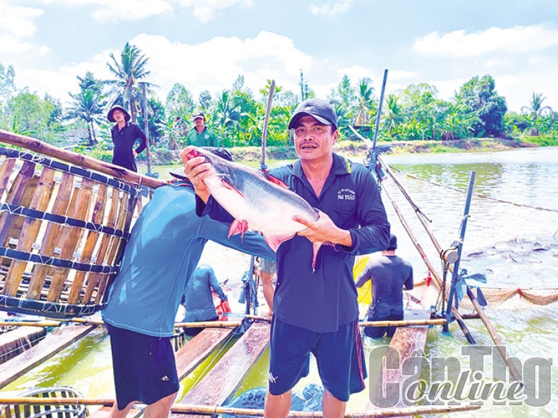 Cơ hội tăng xuất khẩu thủy sản những tháng cuối năm