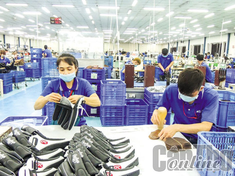 Mở cơ hội kết nối doanh nghiệp Nhật Bản và doanh nghiệp ÐBSCL