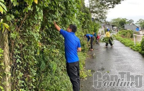 Phát huy vai trò đoàn viên, thanh niên trong đảm bảo an toàn giao thông