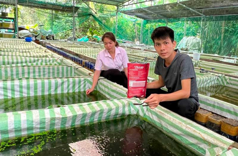 Khởi nghiệp nuôi cá kiểng thành công