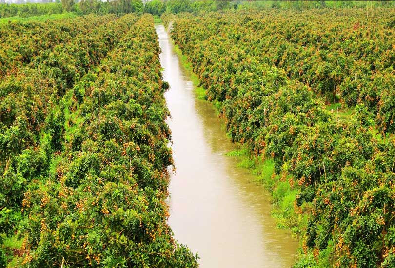 Hướng đến phát triển nông nghiệp bền vững