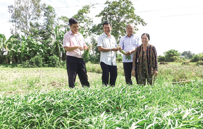Nâng cao hiệu quả hoạt động tín dụng chính sách