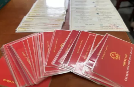 An Giang: Khởi tố thêm 4 đối tượng trong đường dây làm bằng đại học, chứng chỉ giả
