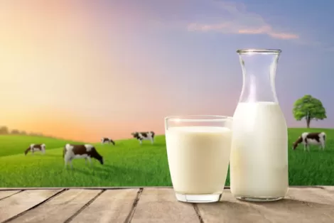 Trẻ bị tiêu chảy có uống sữa được không? Nên chọn sữa nào?