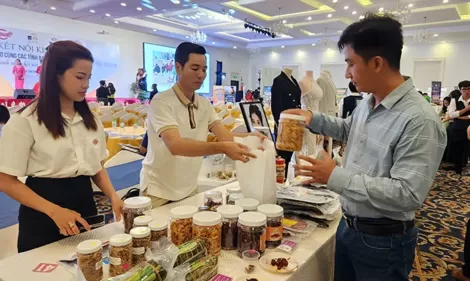 Nữ doanh nhân kết nối kinh doanh, đồng hành phát triển
