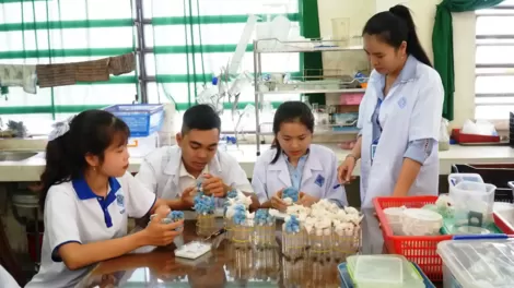 Trường Đại học Cần Thơ đẩy mạnh nghiên cứu khoa học và chuyển giao công nghệ